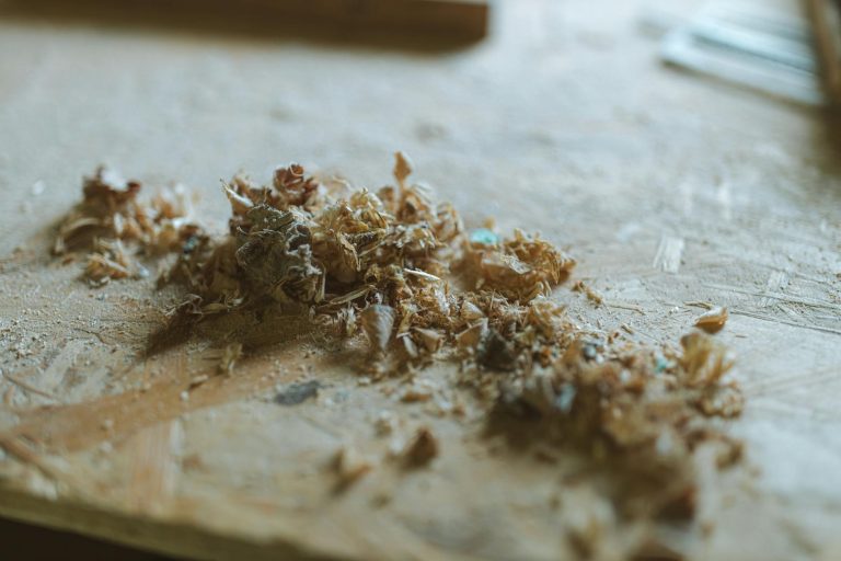 French artisan working in traditional workshop, woodworker hands crafting furniture, authentic craft atmosphere, natural lighting, Instagram phone showing profile, tools and wood shavings on workbench, warm professional setting — Formations 90